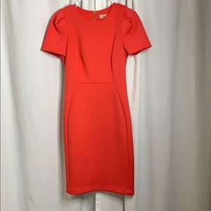 Calvin Klein Watermelon color